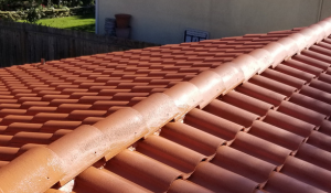 Clean Roof Tiles